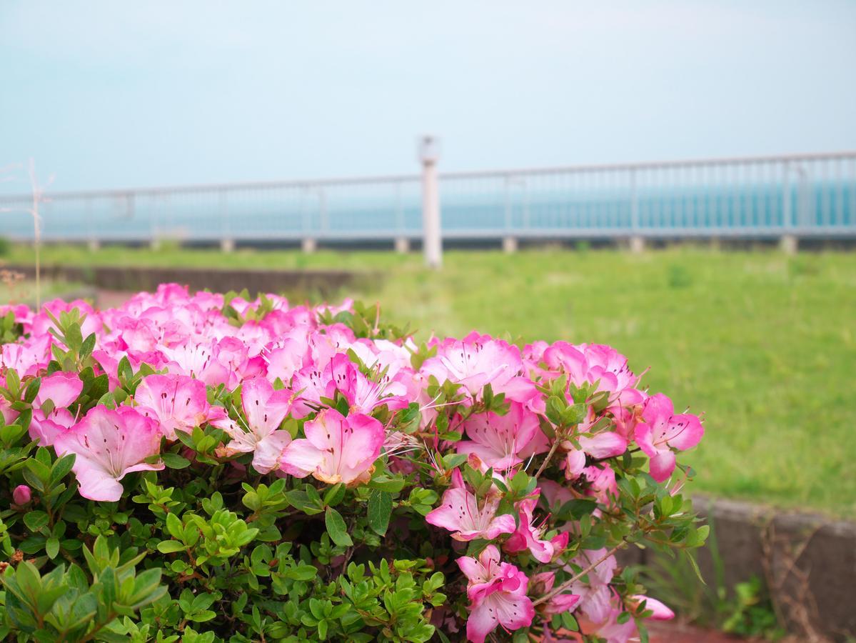 Wisterian Life Club Atami Otel Atami  Dış mekan fotoğraf